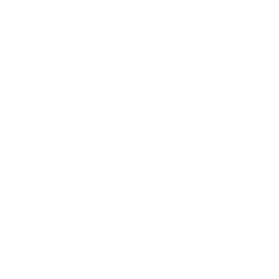 Logo_MS_SFN